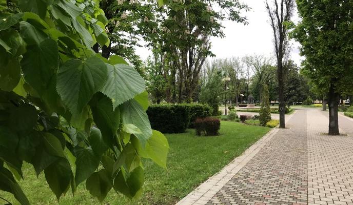 Bitrix 95918: 902c46a6_2c63_4158_8fbe_ca3e878be6b2.jpg