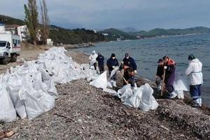 куски бетона от разрушенного здания крупным платом_Kandinsky 3.1