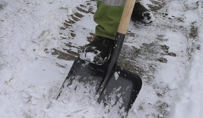 Bitrix 111089: 93473662_cdde_48dd_9ec0_ae352d114cd1.jpeg