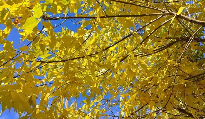 Bitrix 160707: 93.jpeg