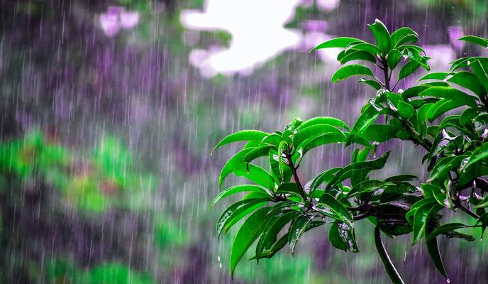 Bitrix 100383: 96.jpeg