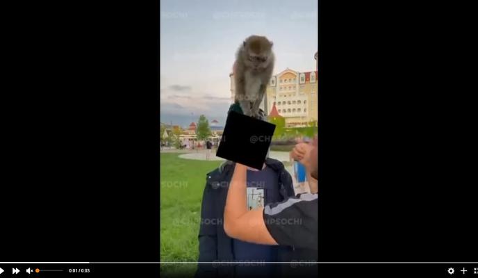 Bitrix 103307: 96.jpg