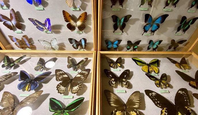 Bitrix 95491: 96d5110b_5886_4c70_9b43_3cf8cf1d07bf_1_1.jpg