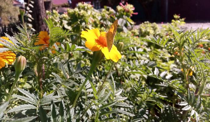 Bitrix 159680: 97.jpg