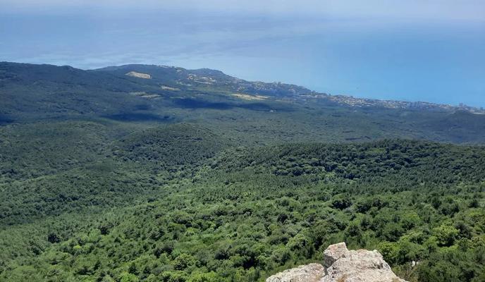 Bitrix 173130: 98.jpeg