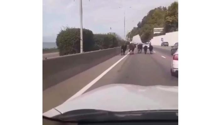 Bitrix 160018: 990.jpg