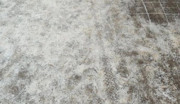 Bitrix 183123: 99.jpg