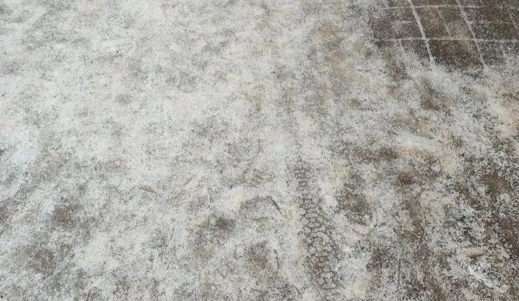 Bitrix 183123: 99.jpg