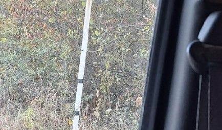 Bitrix 145046: 99.jpg