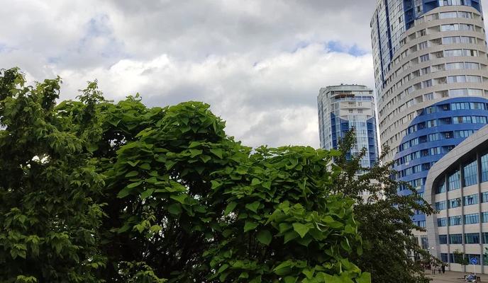 Bitrix 160004: 99.jpg