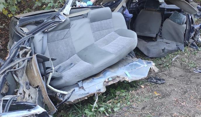 Bitrix 159883: 99.jpg