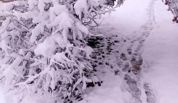 Bitrix 182272: 99.jpg