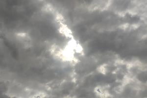 Bitrix 160942: 99.jpg