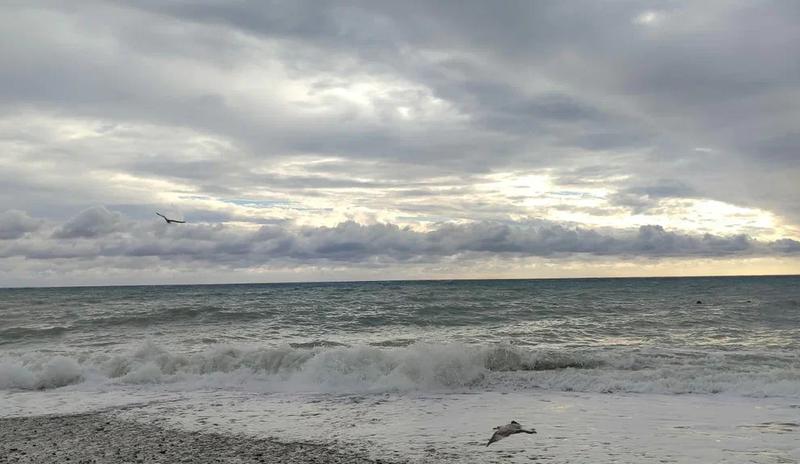 Bitrix 182801: 9.jpeg