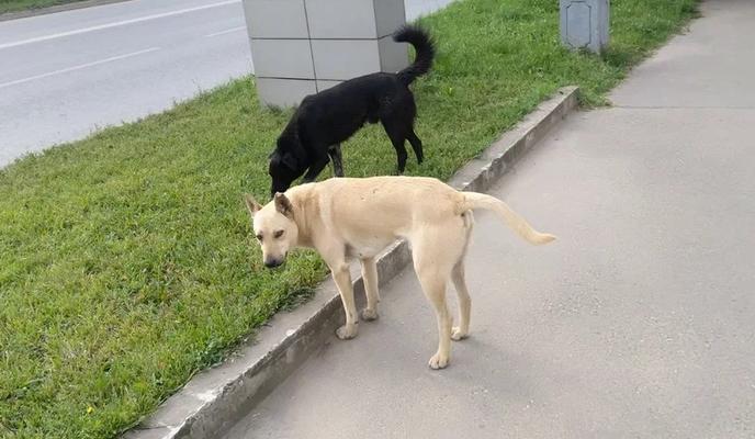 Bitrix 184939: 9.jpg