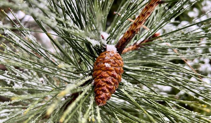 Bitrix 111999: 9b26f2aa_d76c_4652_bf9a_aad5310d2482.jpg