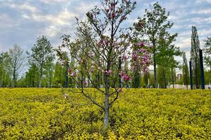 9c8931a1-9fb3-45f1-88a1-e43c2bc61806