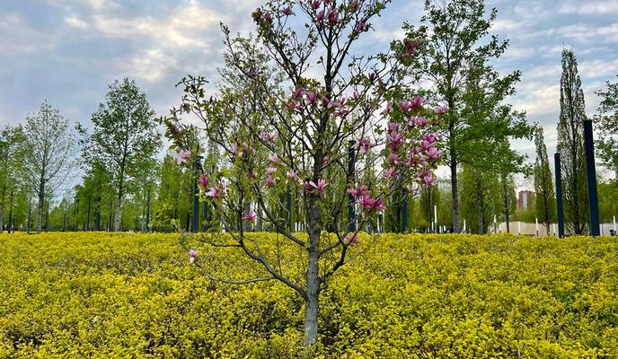 9c8931a1-9fb3-45f1-88a1-e43c2bc61806