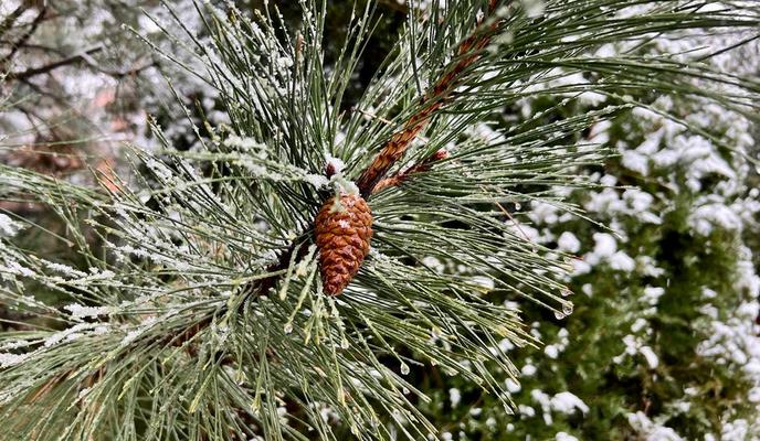 Bitrix 111156: 9d4137c6_fccc_451e_b9aa_c5aaa566056b.jpg