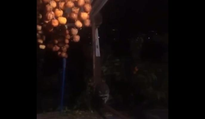 Bitrix 105388: AH3fAhqav7g.jpg