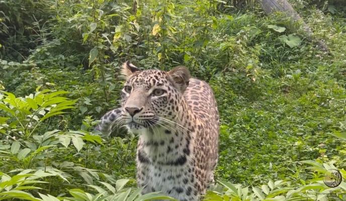 Bitrix 126085: AHqxaOQW6kGOejSI61lCN8PP29JdeD_5h_V4gsZ_G_Ib_65v256CShEtkpRuV7OX7l_nb2Des_L8oedAgN94Uvv.jpg