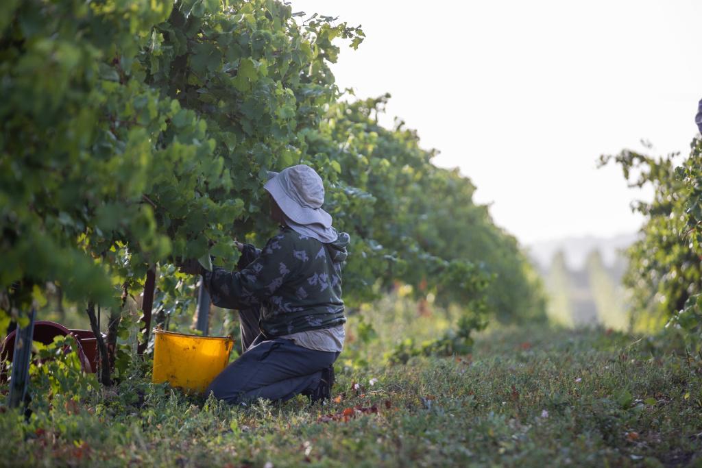 Bitrix 160392: ARYNbiOtX4M.jpg