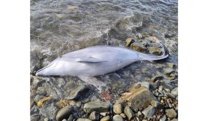 Bitrix 107171: Ab9km3GvAkI.jpg