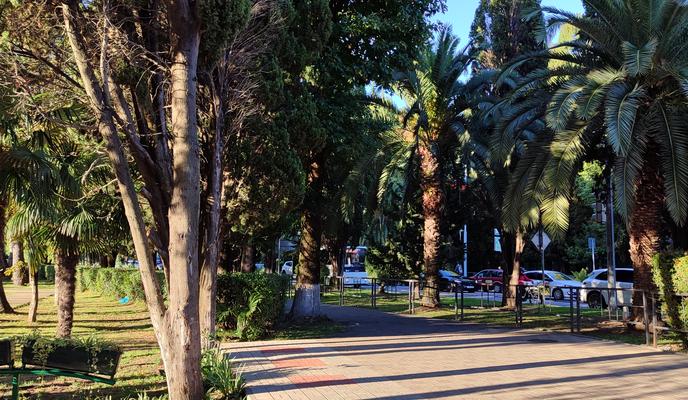 Bitrix 147558: Adler-alleya4.jpg