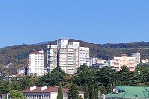Bitrix 146142: Adler-doma-vysotka1.jpg