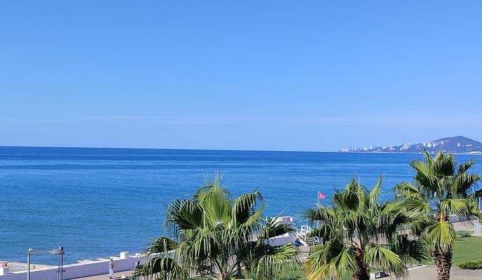 Bitrix 145335: Adler-more6.jpg