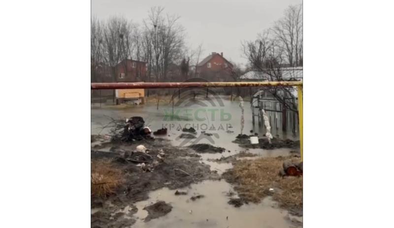 Bitrix 145938: Adobe_Express_20240205_1758040_1.png