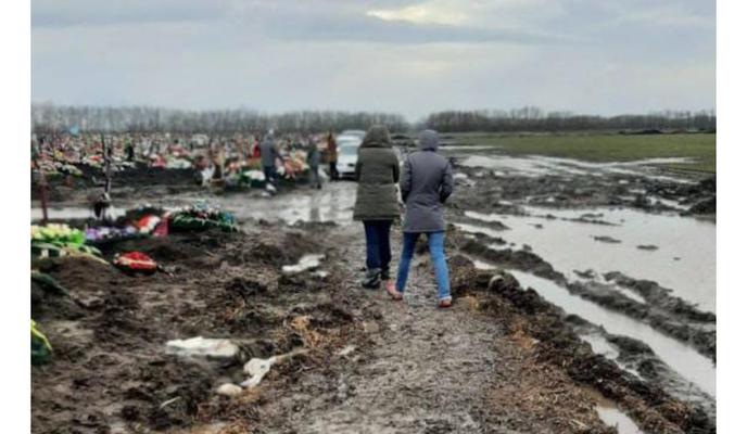 Bitrix 146020: Adobe_Express_20240206_1831570_1.png