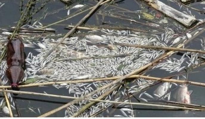 Bitrix 146074: Adobe_Express_20240207_1538220_1.png