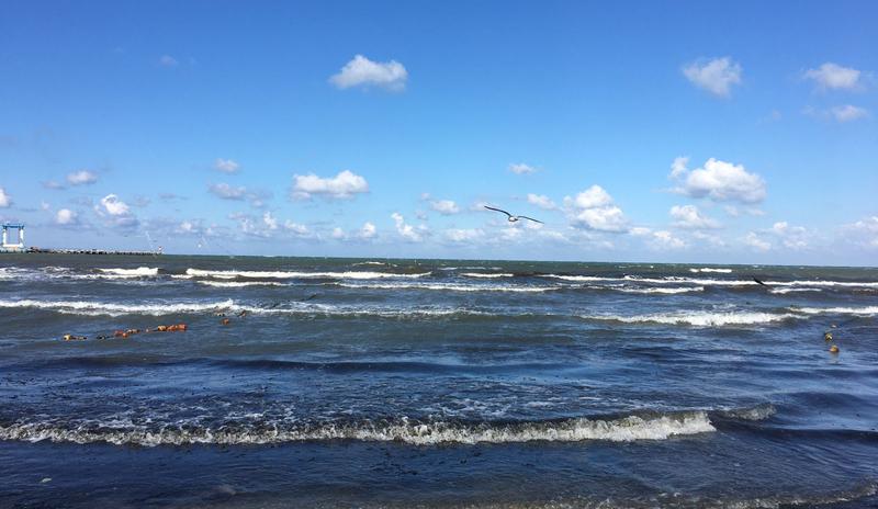 Bitrix 149941: Anapa-_8_.jpeg