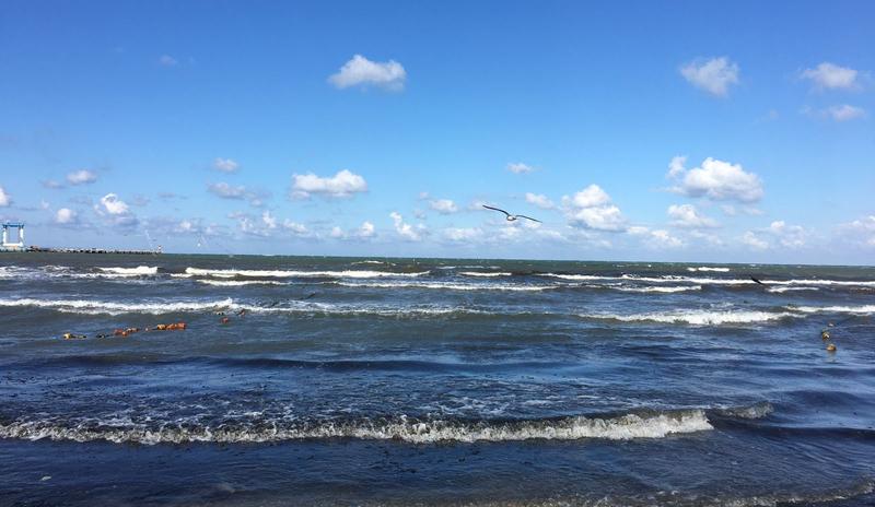 Bitrix 135651: Anapa-_8_.jpeg