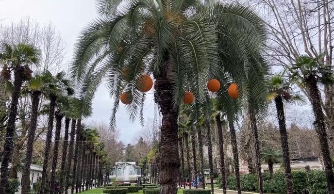 Bitrix 144492: BMa_SEbv_vQ.jpg