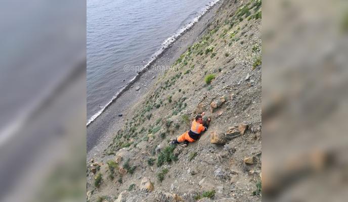 Bitrix 96648: Bez-imeni_1.jpg