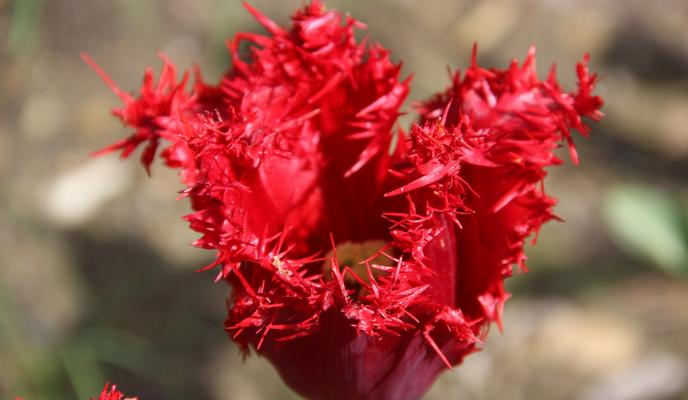 Bitrix 94017: Bp8dgTv7vY0.jpeg