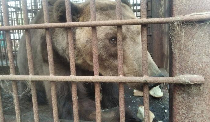 Bitrix 129620: BwvdiI7I9PfGYauGzw0ncANtzKjH5X8PUZ0TyIi5c_5JIbc8Ei_2bTWHqyAk1tw00kg9UFyf4fFifhFMW_gKuZv.jpg