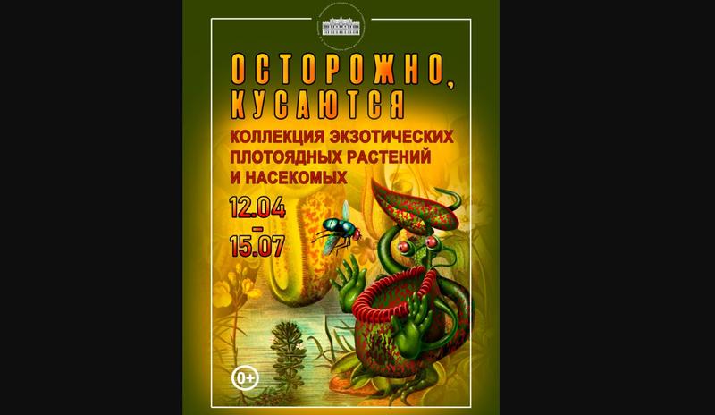 Bitrix 116314: C8sZIuub2qA.jpg
