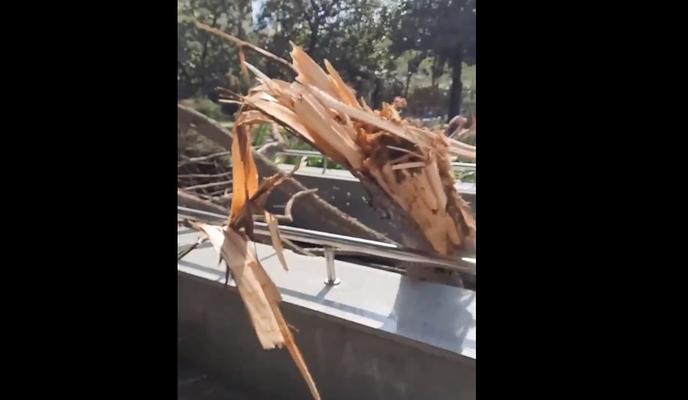 Bitrix 132418: CHP-Sochi.jpg