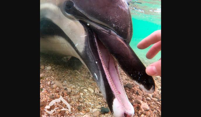 Bitrix 118364: CkEnEve4p_n59mnd48cos_1S7MYfwa72uWsQRwr_PnXddDpWILVW_9dRim8mq7FOrWX8HLFeJSbsz3EVN14BleCF.jpg