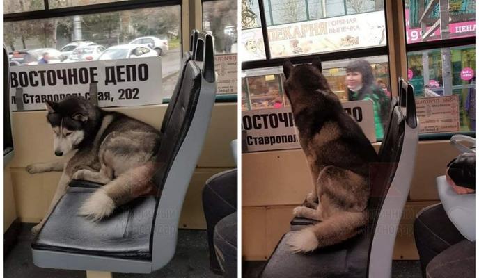 Bitrix 107896: CollageMaker_20211121_122119010.jpg