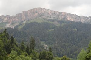 Bitrix 175491: DSC01229.JPG