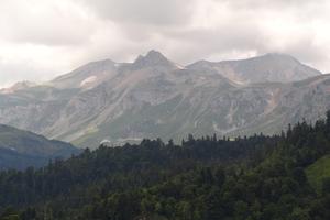 Bitrix 170395: DSC01235.JPG