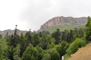 Bitrix 163872: DSC01245.JPG