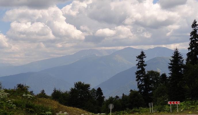 Bitrix 168211: DSC01246.JPG