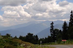 Bitrix 180041: DSC01246.JPG