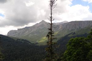 Bitrix 165061: DSC01254.JPG