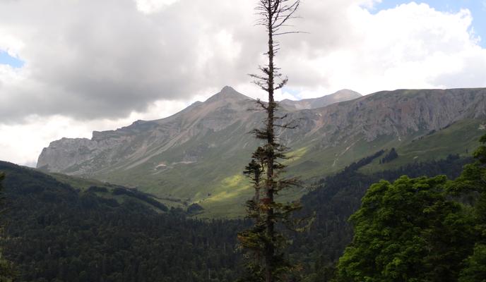 Bitrix 165061: DSC01254.JPG